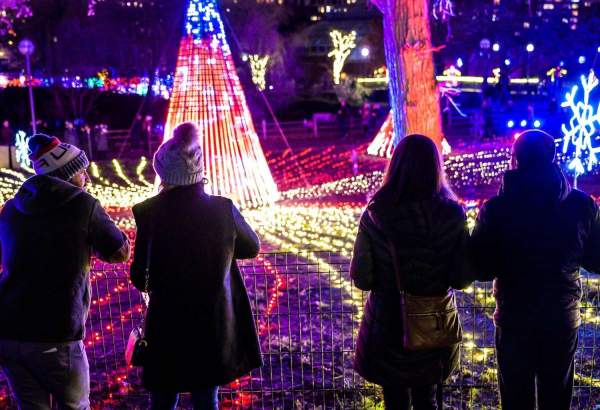 Gente mirando las luces del zoo de Lincoln Park