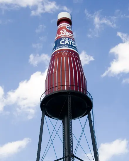 La botella gigante de salsa de tomate Brooks contra un cielo azul en Collinsville