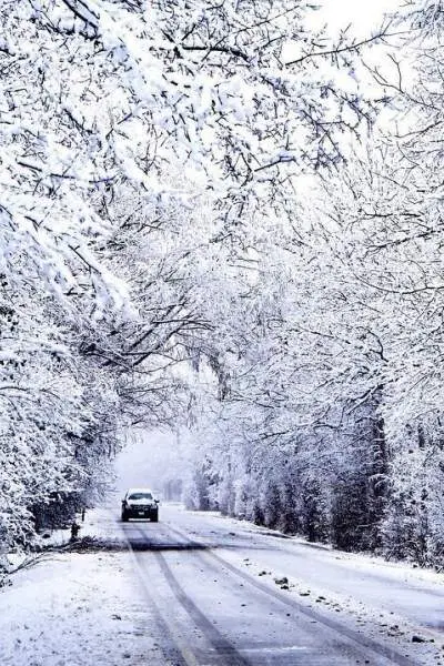 Coche circulando por carretera con árboles cubiertos de nieve a ambos lados