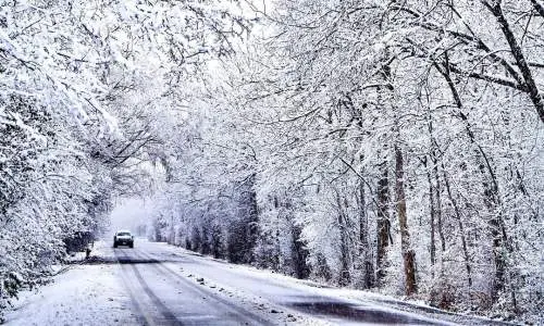 automóvil circulando por una carretera con árboles nevados a ambos lados