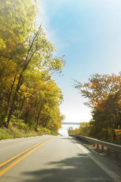 Una carretera rodeada de follaje otoñal