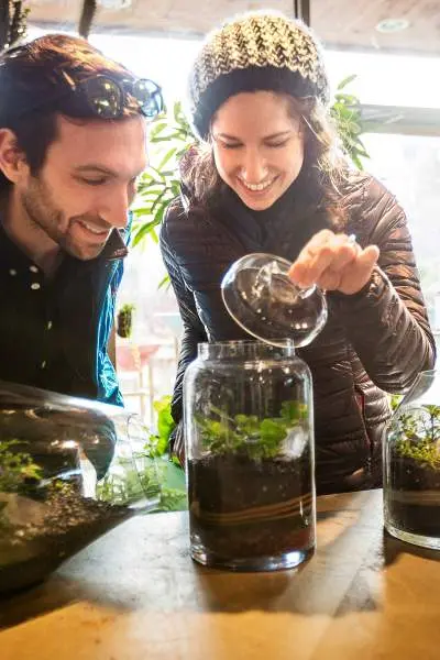 Una pareja mira terrarios plantados en Sprout Home de Chicago
