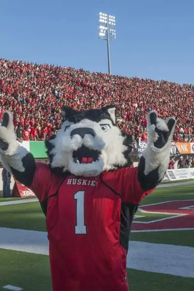 La mascota canina de los Huskies de la Universidad del Norte de Illinois, en un concurrido partido de fútbol americano.