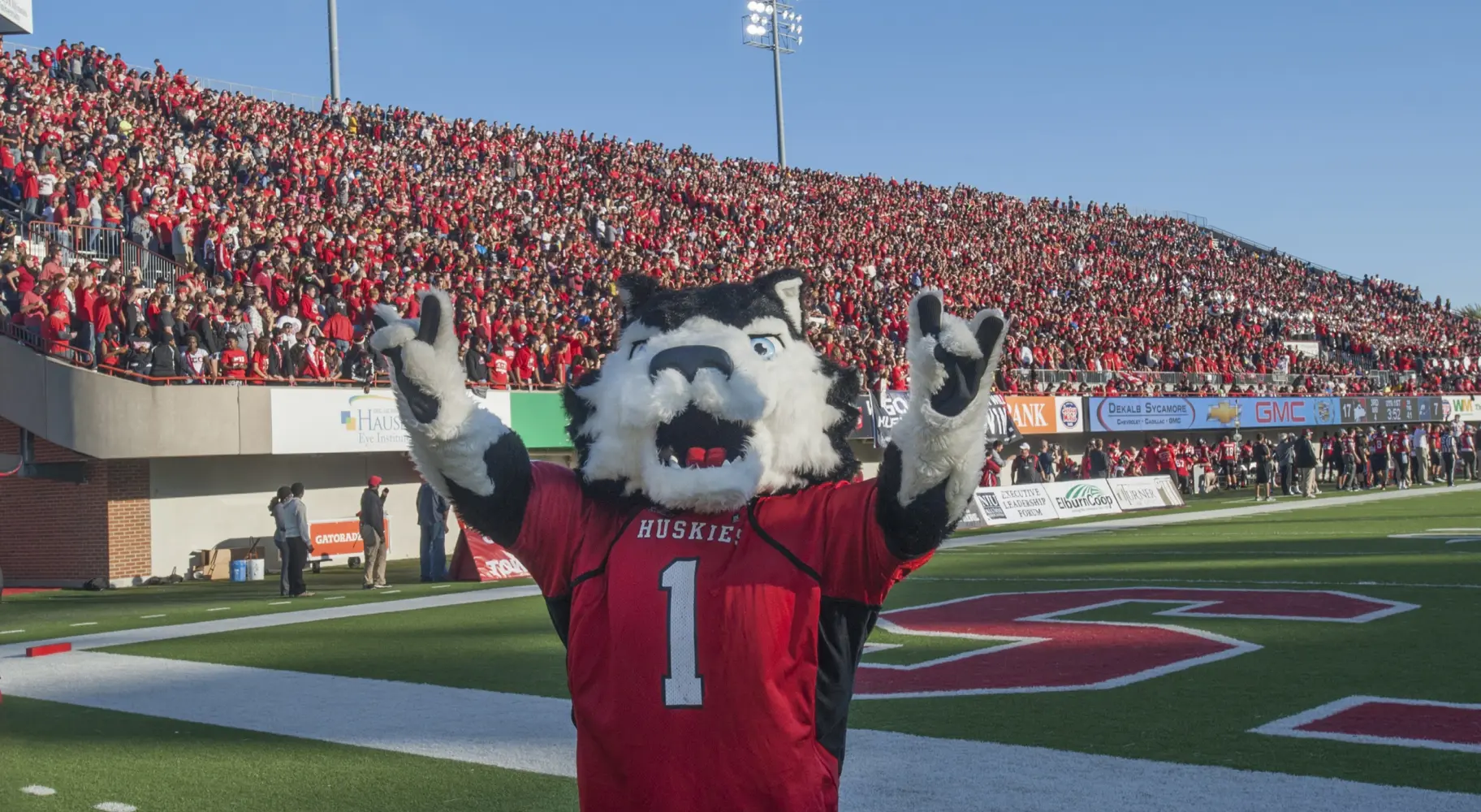 La mascota canina de los Huskies de Illinois Universidad del Norte de Illinois, en un concurrido partido de fútbol americano.
